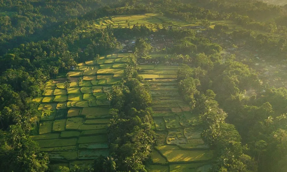 Bali Land Excursion & Cultural Sightseeing